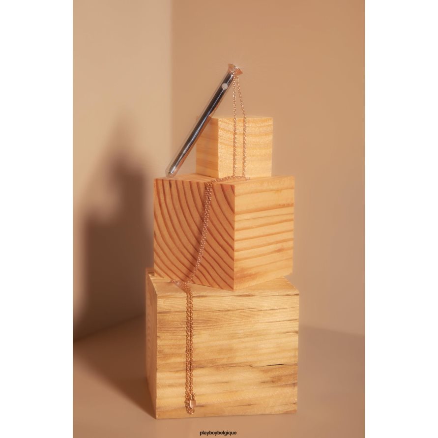 vêpres par envie Playboy accessoire argent femmes 224ZVZ1596